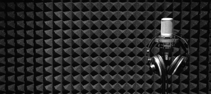 foam behind microphone